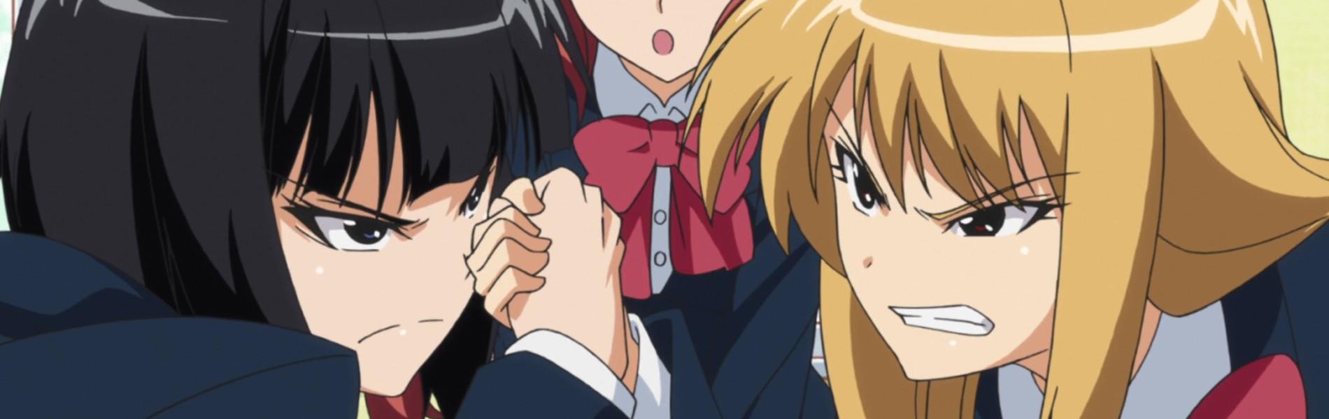 Banner for Plastic Elder Sister