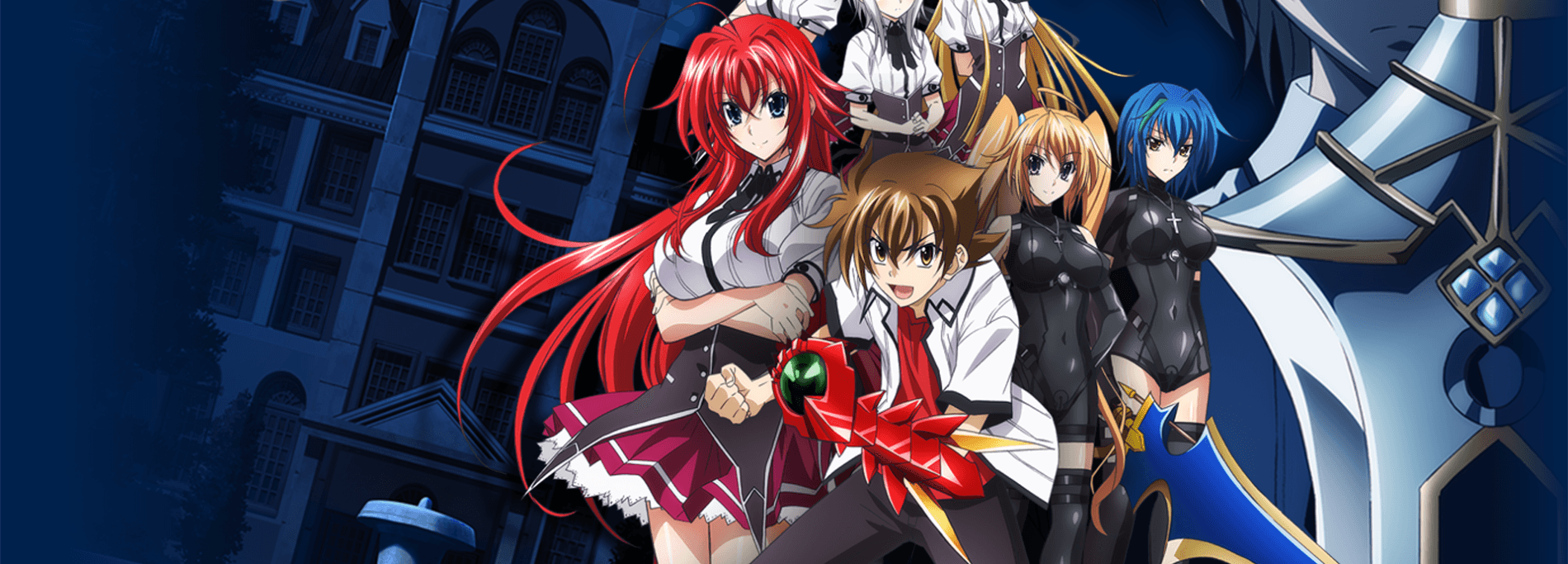 Banner for High School DxD NEW