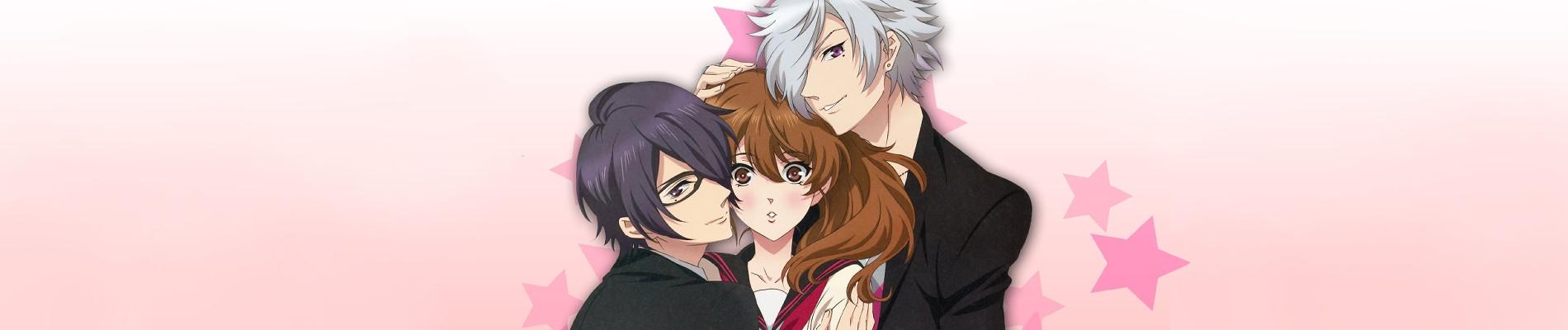 Banner for Brothers Conflict