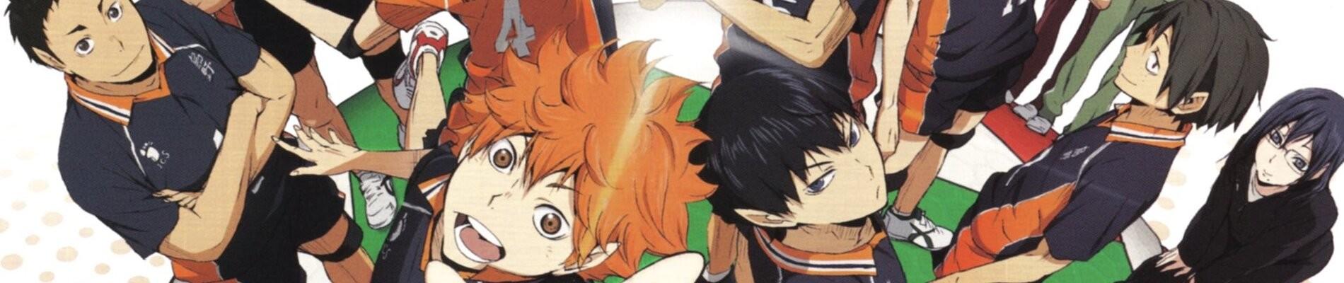 Banner for HAIKYU!!