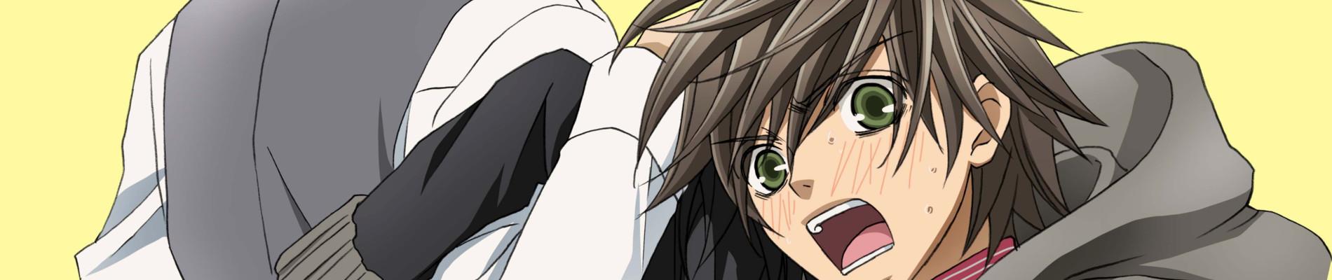 Banner for Junjo Romantica 2