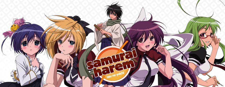 Banner for Samurai Harem