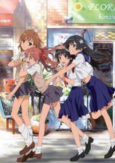 A Certain Scientific Railgun